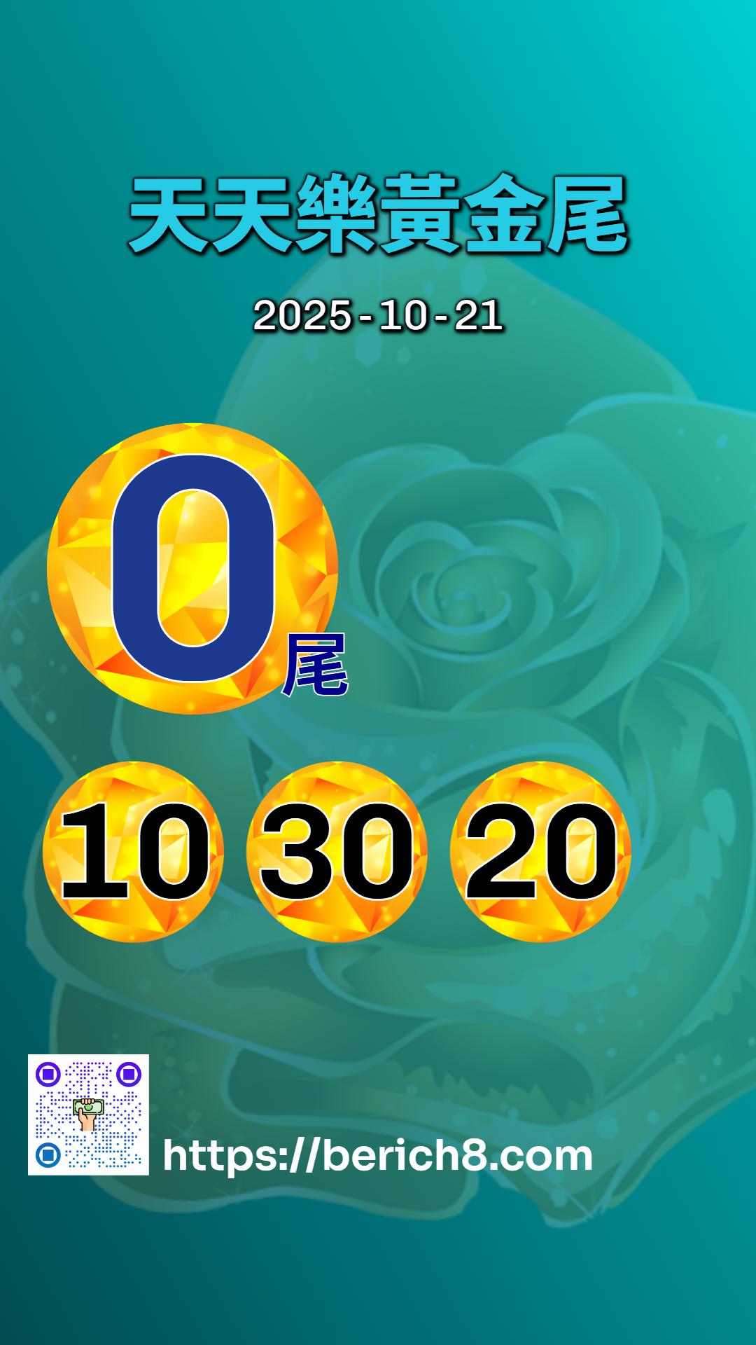 天天樂黃金尾:淑芬姐的數字情緣與歲月真言