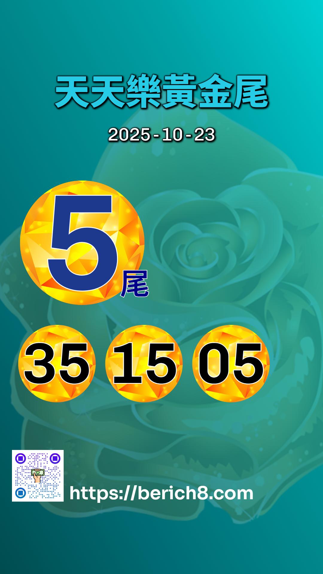 黃金尾不只是數字:張志豪在台南,找尋失落的歸屬頁碼