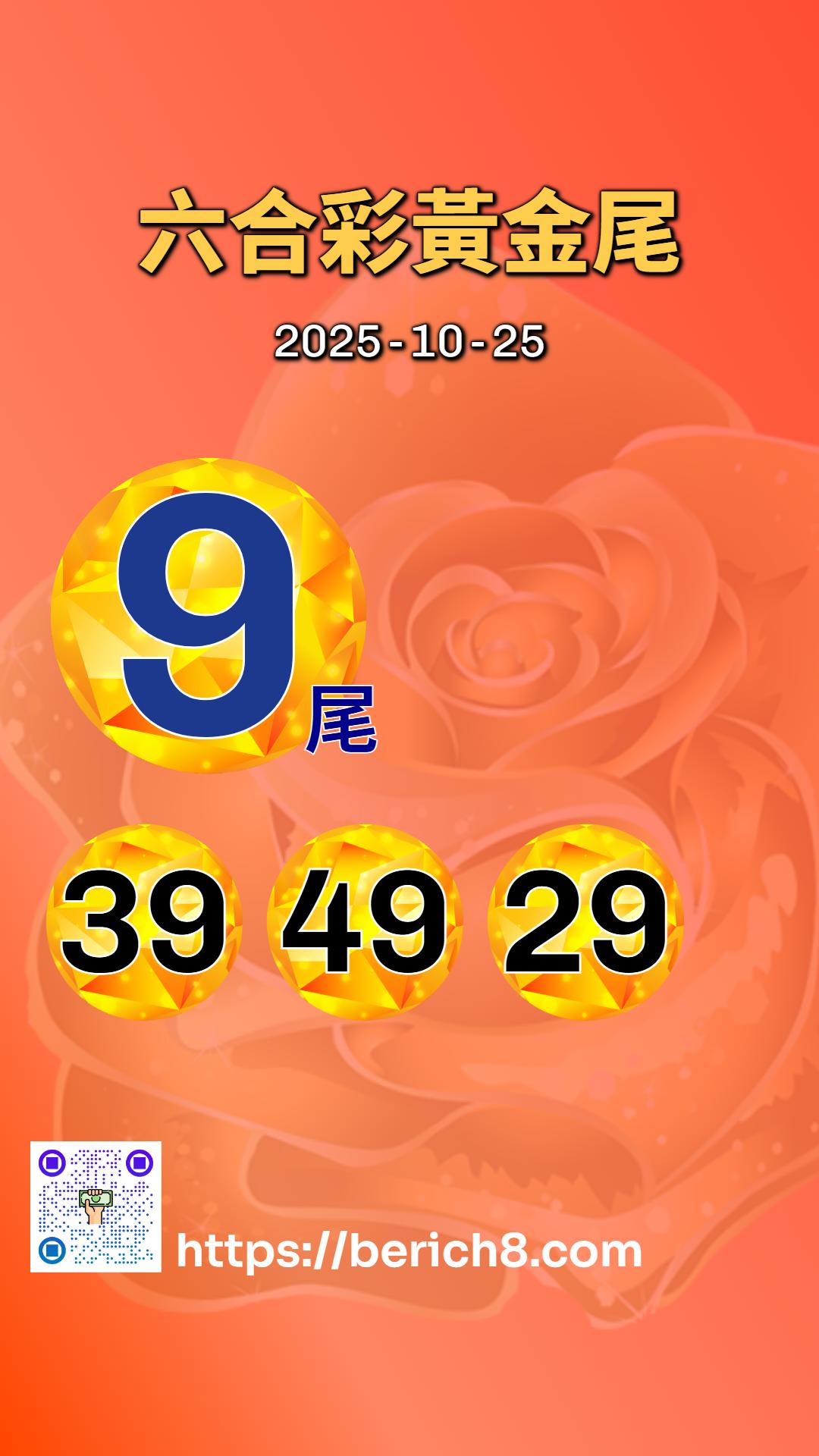 秀琴姨話『黃金9尾』：菜市場的人生，數字都是緣分啦！